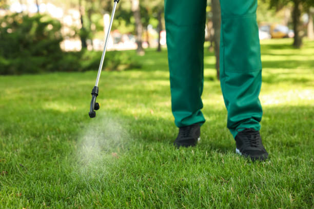 Best Rat Extermination Near Me  in Whitesboro, NJ