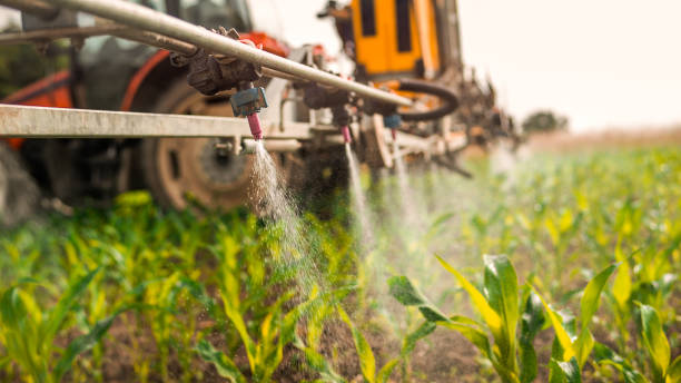 Best Pest Control for Homes  in Whitesboro, NJ